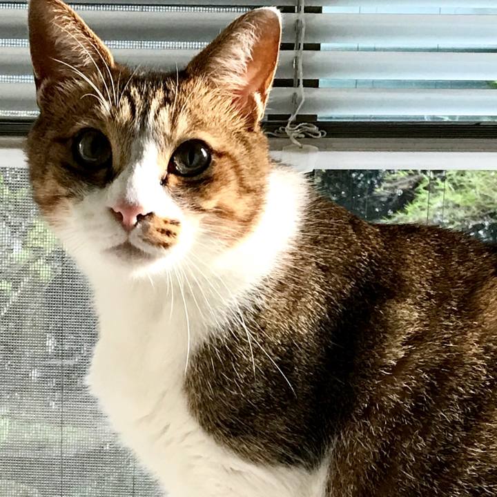 Cb141167 8ab9 4a05 aaf0 41e985fb099b