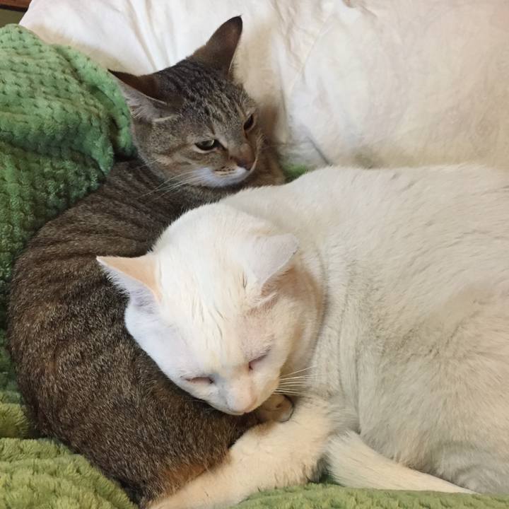 Cb141f1a 1e3c 4669 a998 28e3a2930ff0