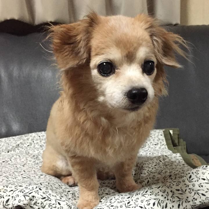 Cb143002 51b5 4646 82d9 b2f435bd6d85