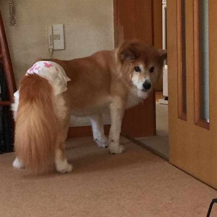 Cb14f205 fcb5 40a5 b93b 3e03ed95b765