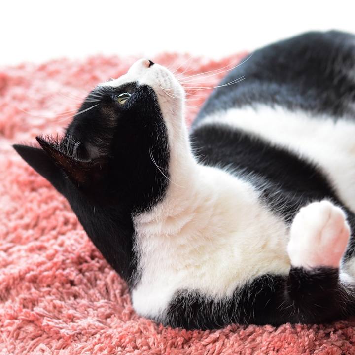 Cb1514c5 02cc 44d5 b8a5 74d5afb088c3