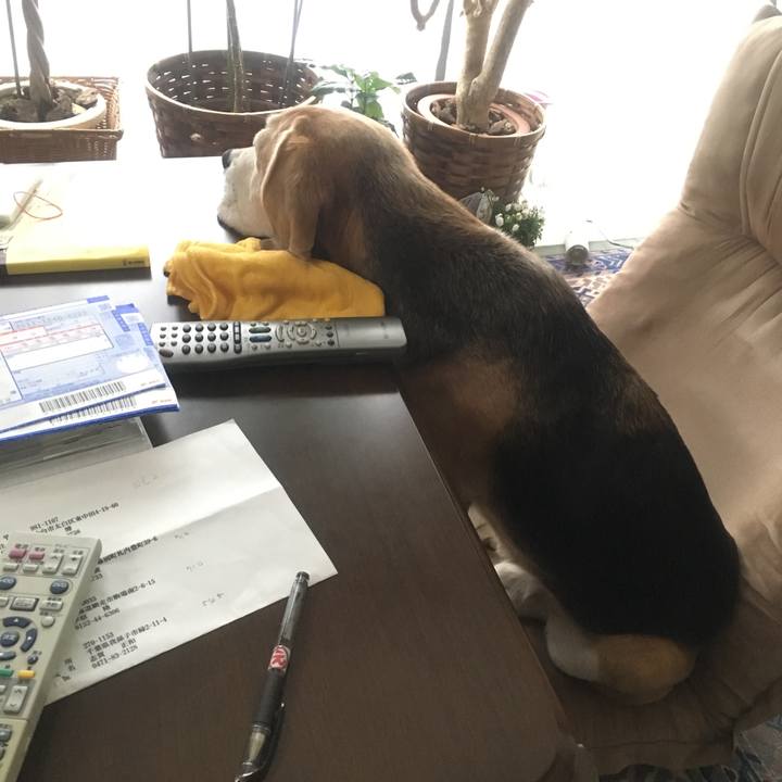 Cb155c27 a666 41d1 9b9c e84ce1c977dd