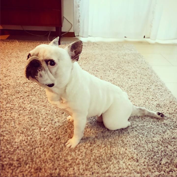 Cb1570a8 f531 477f 8578 c2276c679960