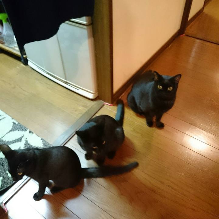 Cb1588bc 6a02 4782 957a cc6b8c1a7203