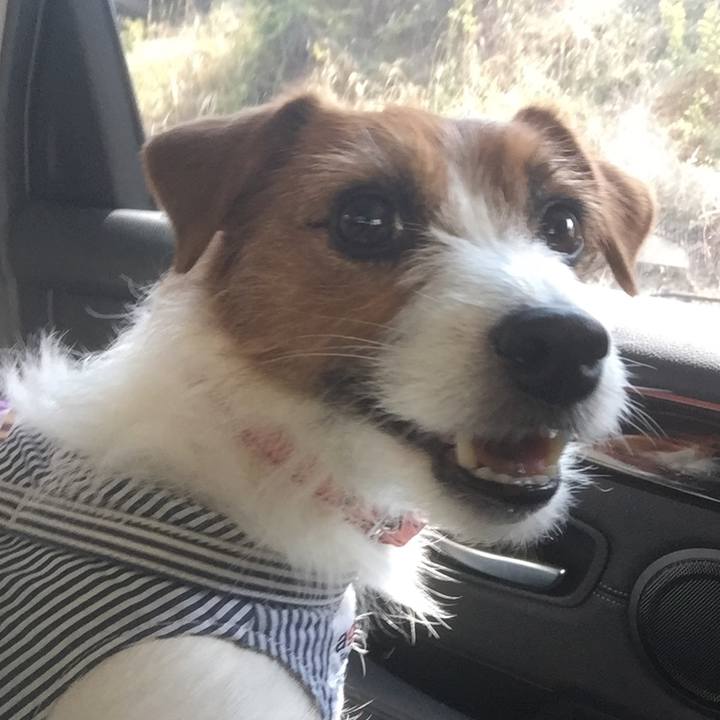 Cb15d6e2 4a4f 4b2e 8845 ed76b5fa149a