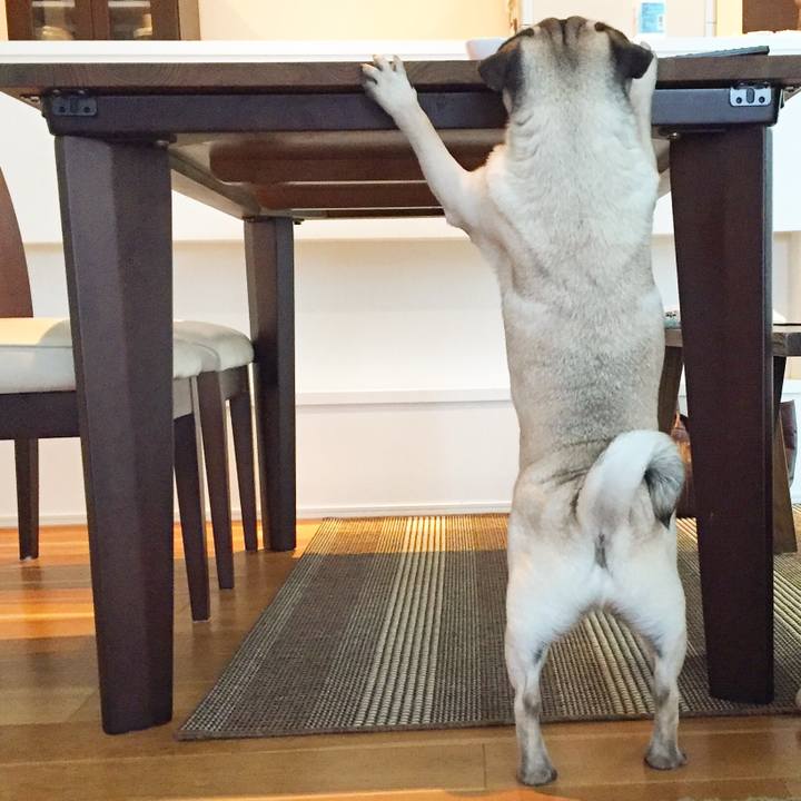 Cb16c213 0066 42fa b209 bf10cf43b893