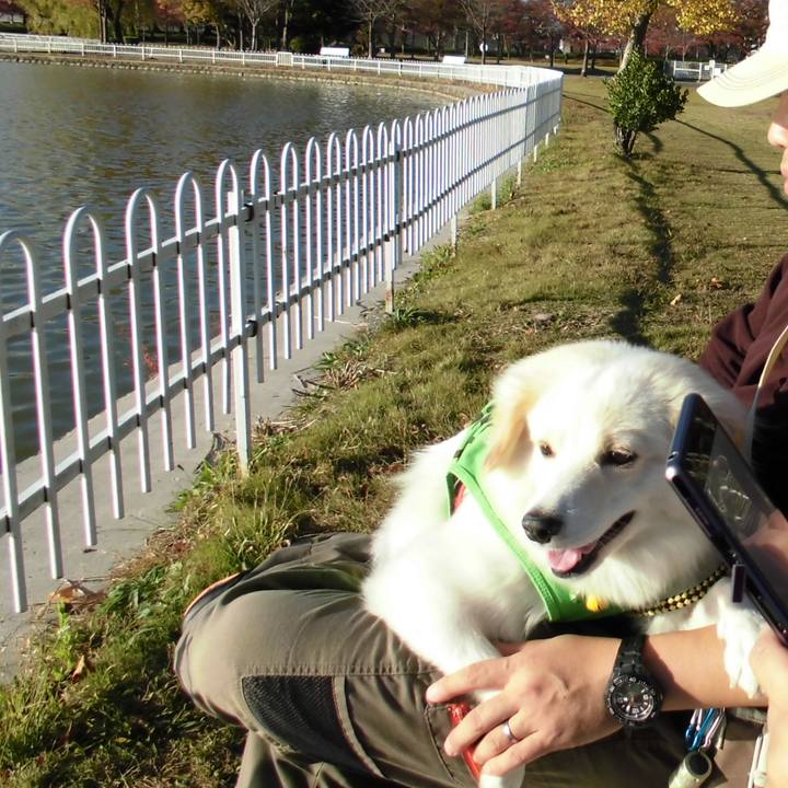 Cb16c6af 5a83 4fc3 93d5 221f17406bf5