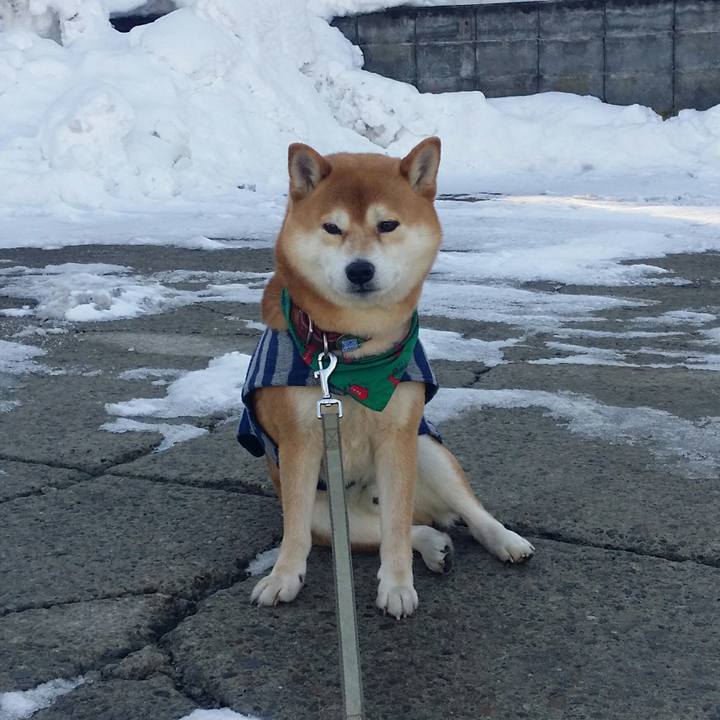 Cb171a7e c483 482f 9cb8 23362f32e02e