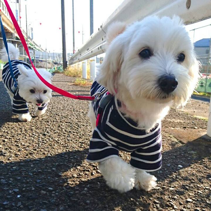 Cb171fb8 8fd1 4d03 b5c1 c36e5bf60f8e