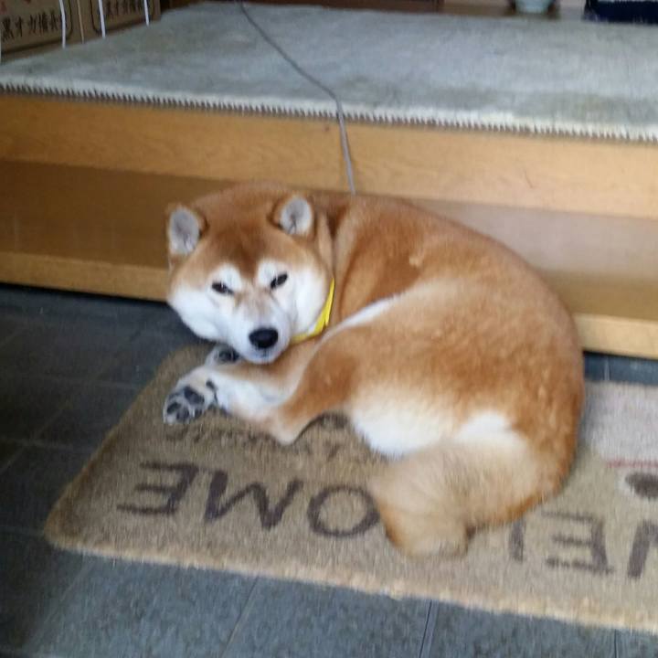 Cb183062 690f 4116 8be0 b5f4dc531752