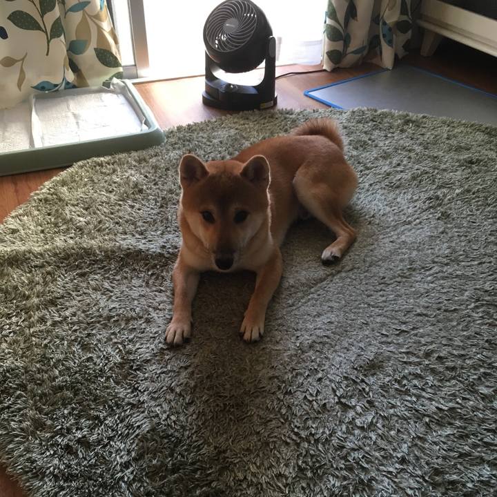 Cb1883e0 431f 41d6 a817 03b86c977607