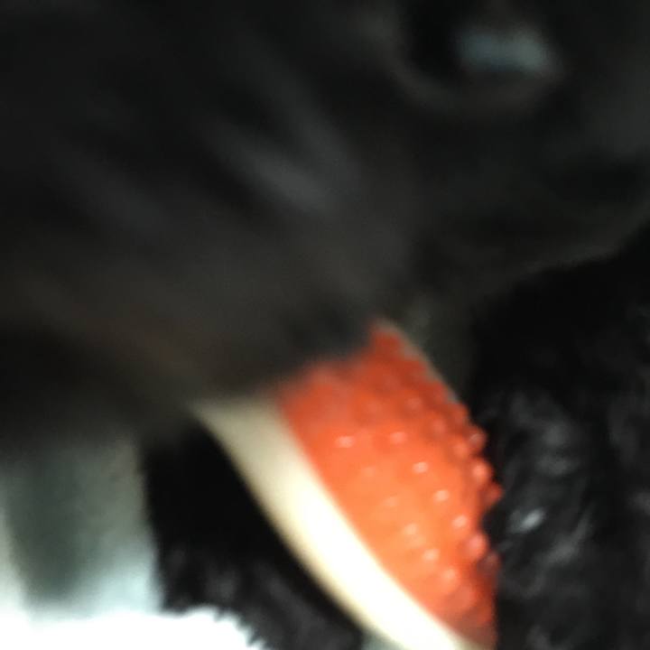 Cb18cda7 8d0f 4eff b80e 611ce60d1d52