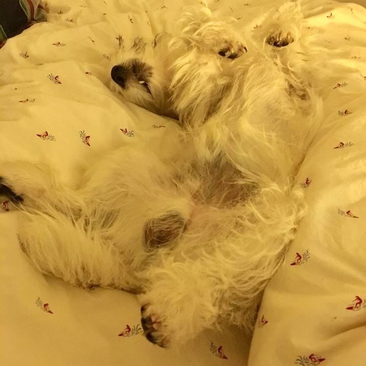 Cb18f3a0 6b35 45ea 958e 1ba3f8d8e088