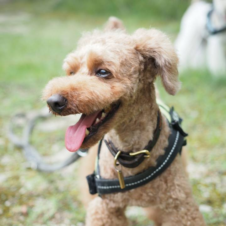 Cb19bbe7 1407 4c2e ab3a cf62abbe8722