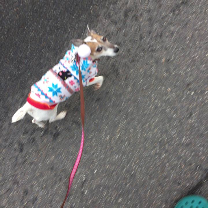 Cb1a772e e5bf 4f3a b880 17ac8e2d1611