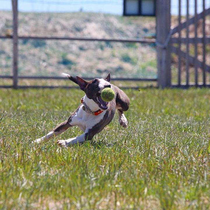 Cb1aca5b 412f 4fa9 9623 b70ea84211aa