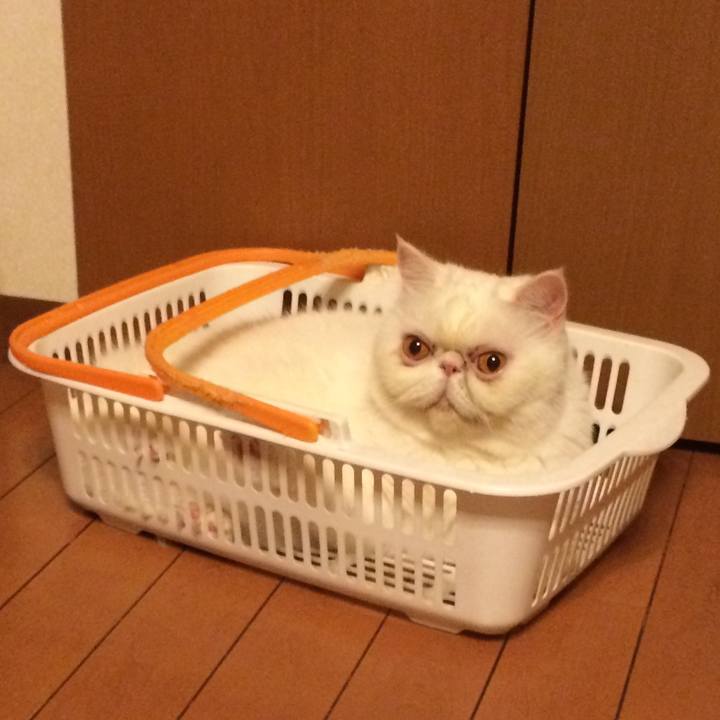 Cb1b6130 f3c6 40a9 9399 d95717b171b3