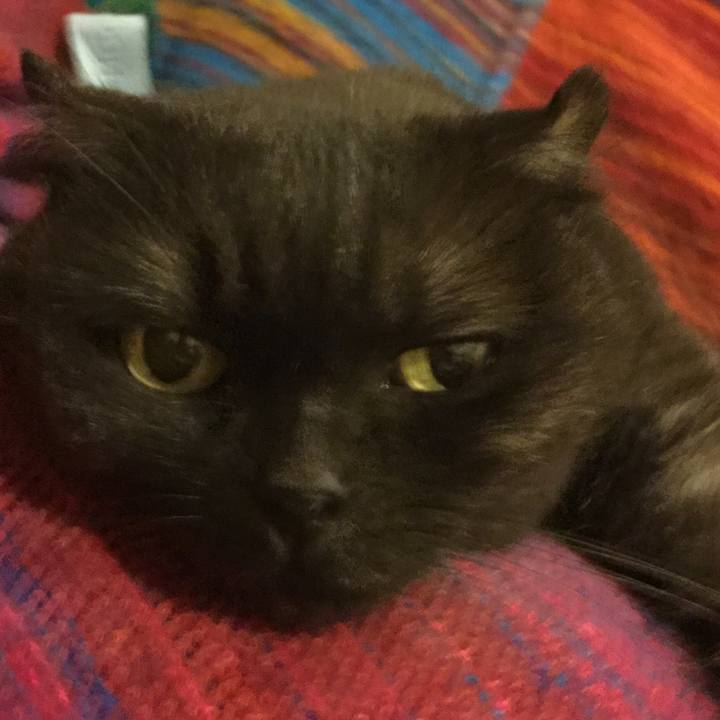 Cb1bf455 9fb7 4185 a141 2212df7002cf