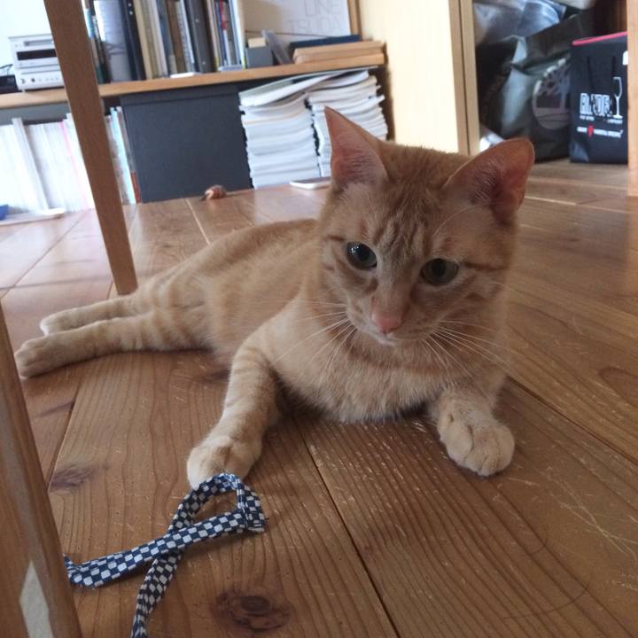 Cb1c73e3 a377 4a6a 8521 97f352465e00