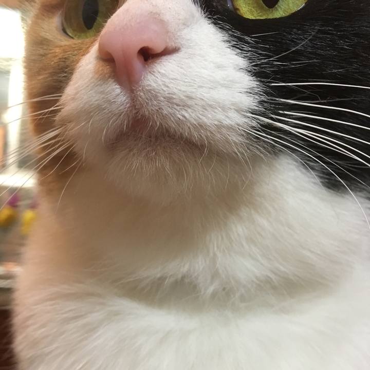 Cb1d17e0 eed7 4444 b222 8f5632db9469