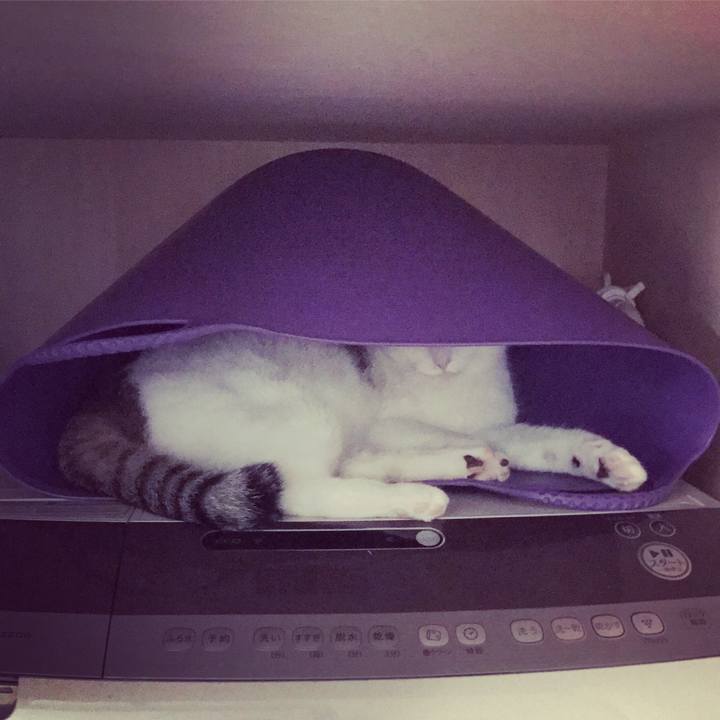 Cb1d5cef c428 455e b915 3de7c2bb5382