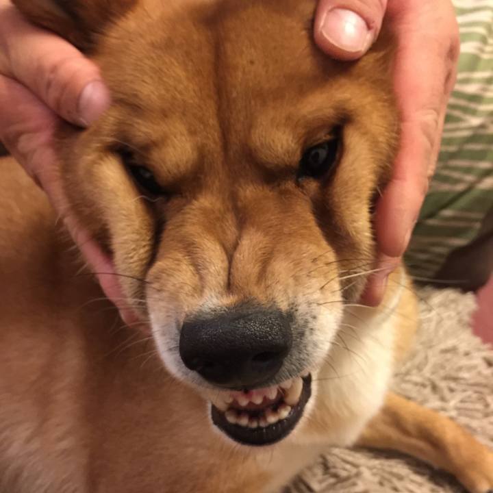 Cb1e79f4 e97a 47ed 97f4 0a8666eaa225