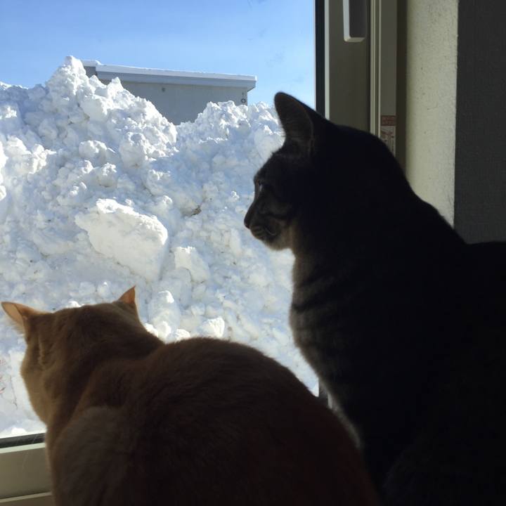 Cb1ed539 876b 41fa b530 15ac4023ac4e