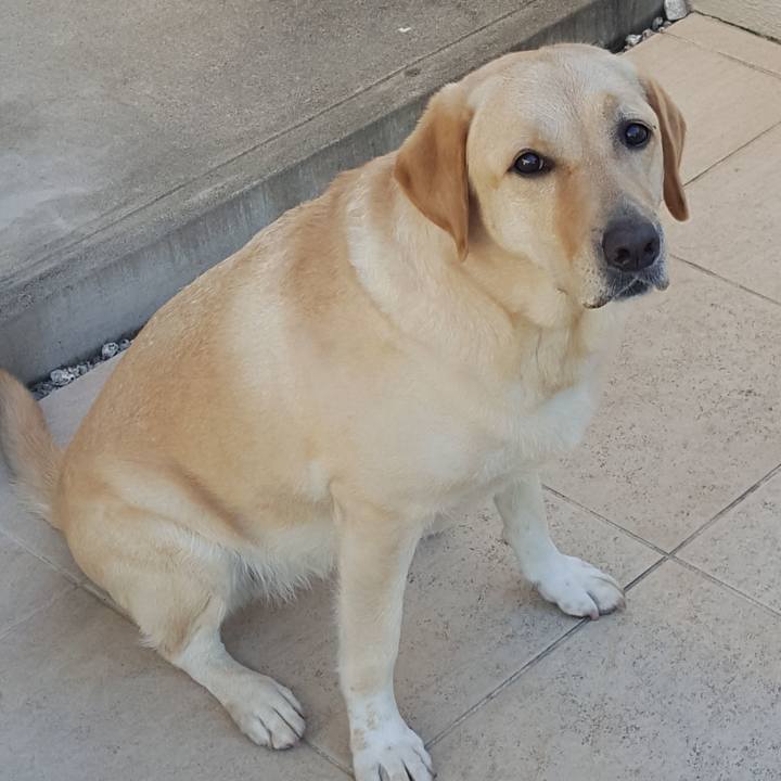 Cb1f6eb8 dd4b 46eb 8374 a5417a64532b