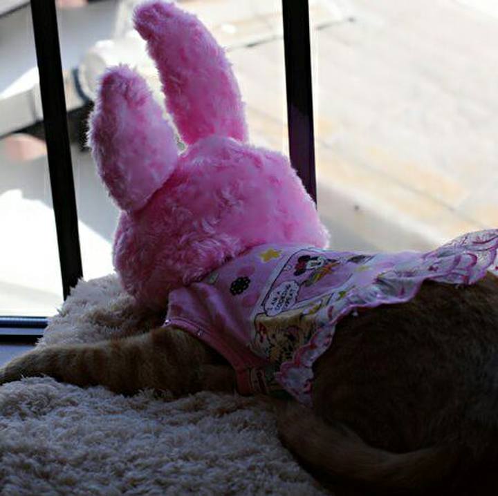 Cb1fd986 25d0 4689 8da7 0ab8f289328a