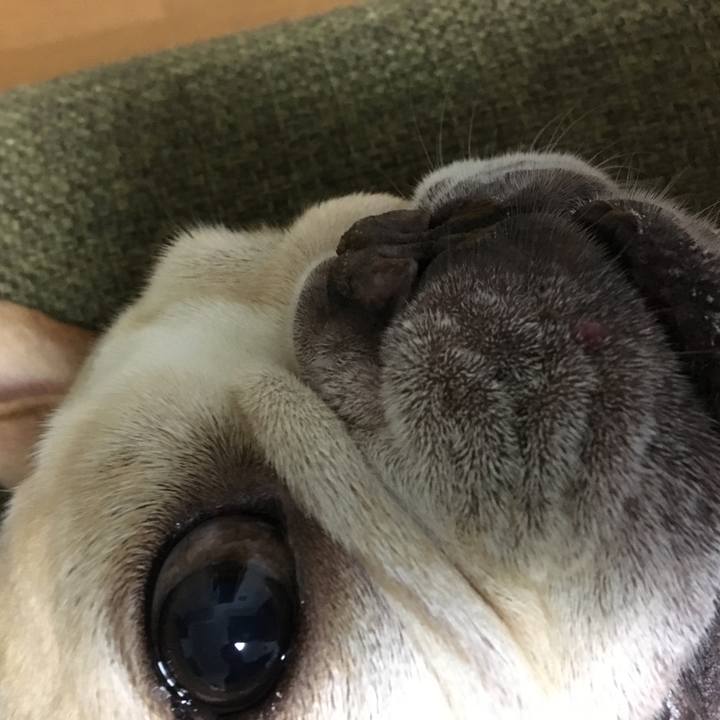 Cb204889 263f 4ff1 962f 75050fb74b17