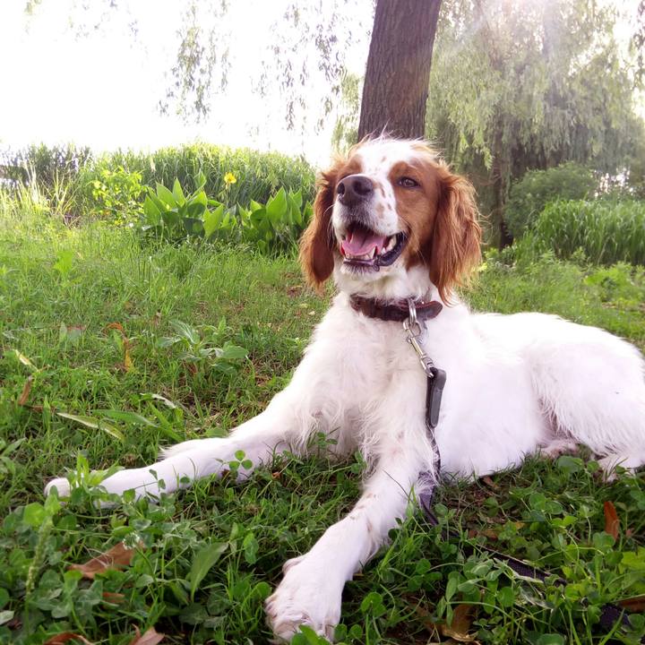 Cb206040 0f11 49a2 b5c4 75bf3a6fa924