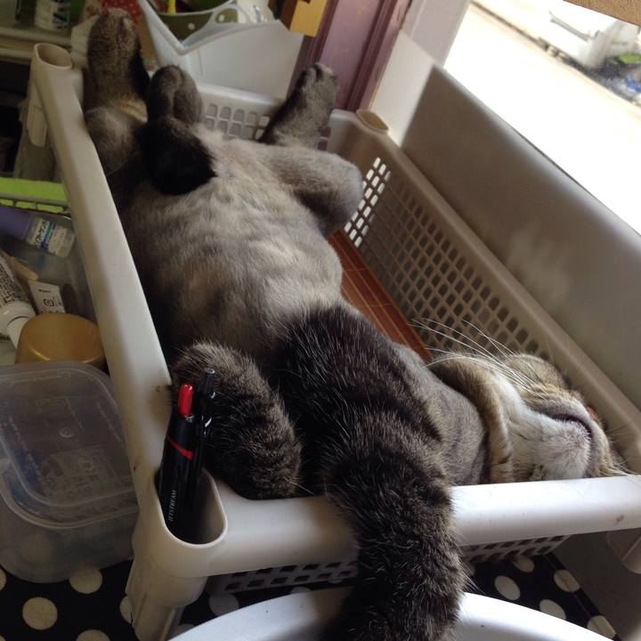 Cb20855c 4cfc 40e4 8f52 c85db2d3a806