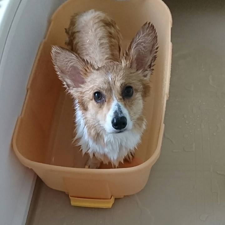 Cb21aef6 dccc 49da 99d7 37cba9f7b2bf