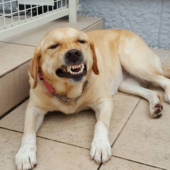 Cb22f9a0 aeba 443a 9d07 08133a9297f3