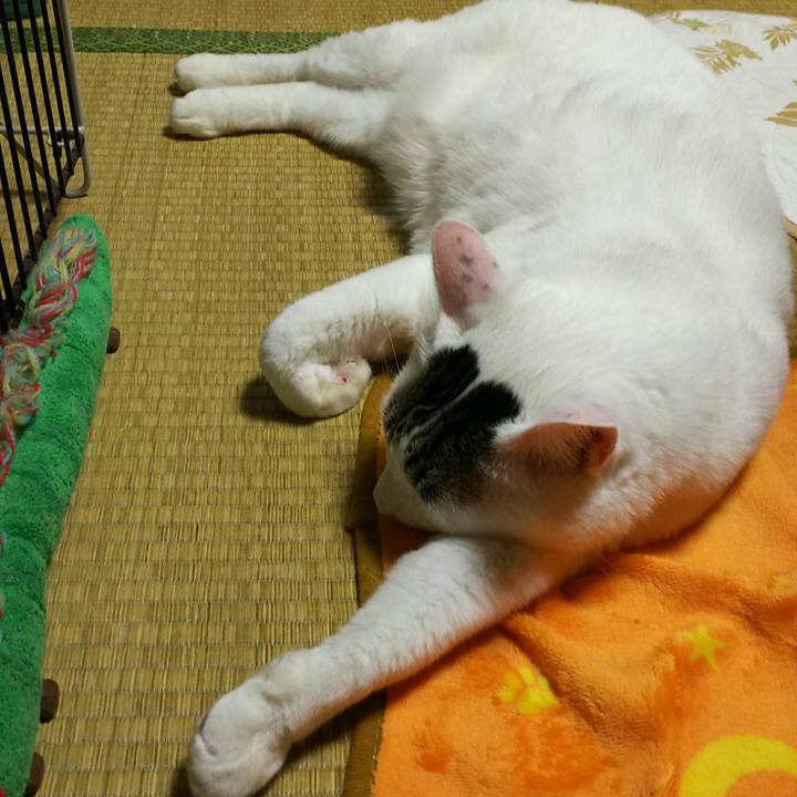 Cb235c58 1cf2 4d66 be0b a60c60ede2b3