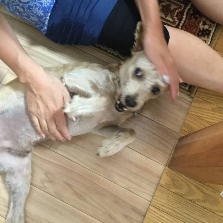 Cb23d7ca 1dbe 4adc bf8f 81803b1b7860