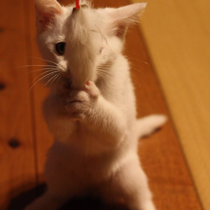 Cb24ae54 d41c 4472 ad08 371ef23a8293