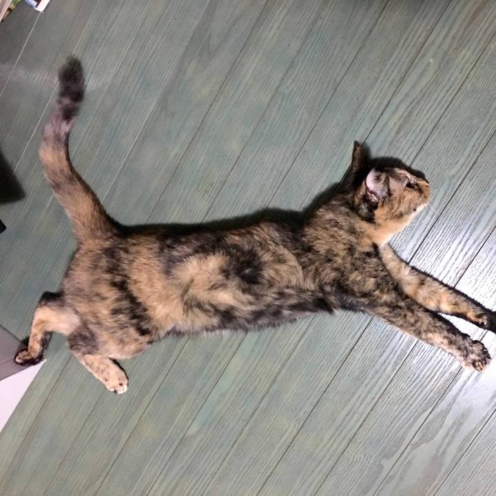 Cb2519f1 976f 486e 8eb3 1b616e085b5a