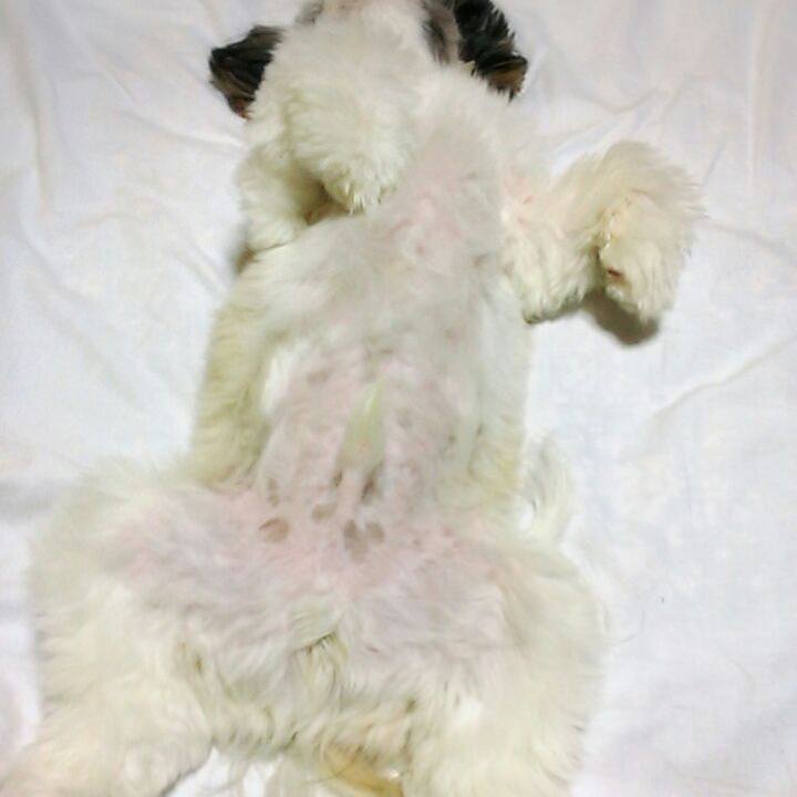 Cb258509 2d7c 44c8 8860 598aa1a6b797