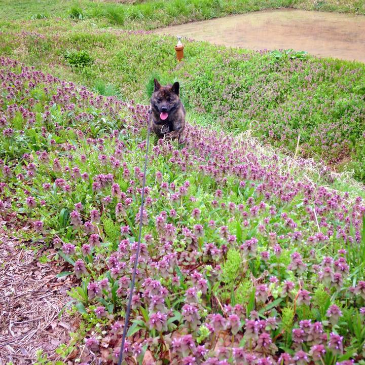 Cb25d210 cd74 4659 b237 8725eebb80cb