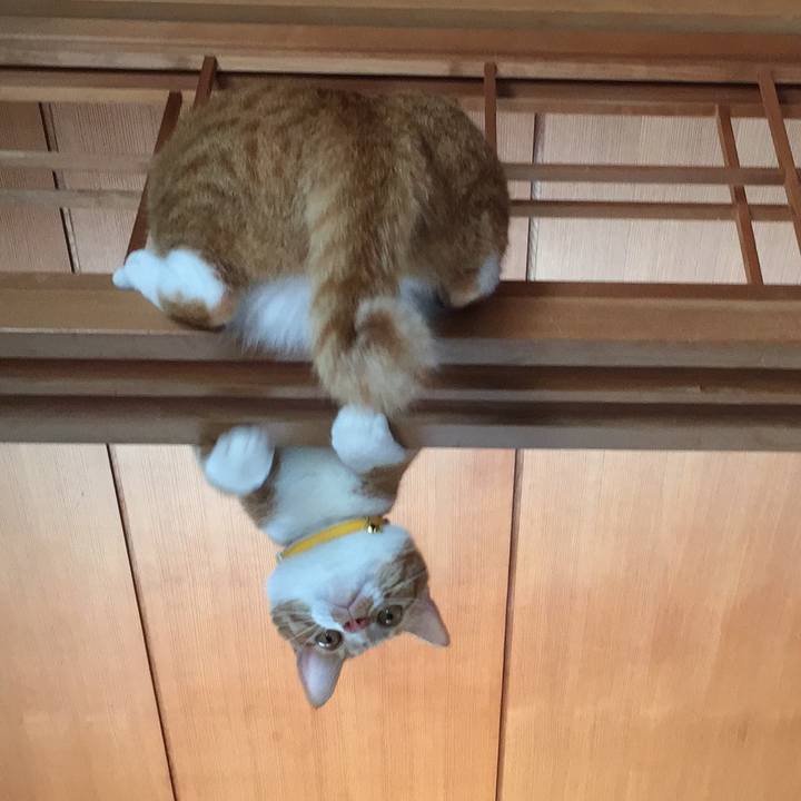 Cb25f345 04f4 417e a57a 0f26ba1f07c8