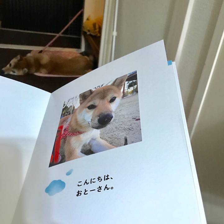 Cb25fa94 9b59 409c b372 9d02f6029502