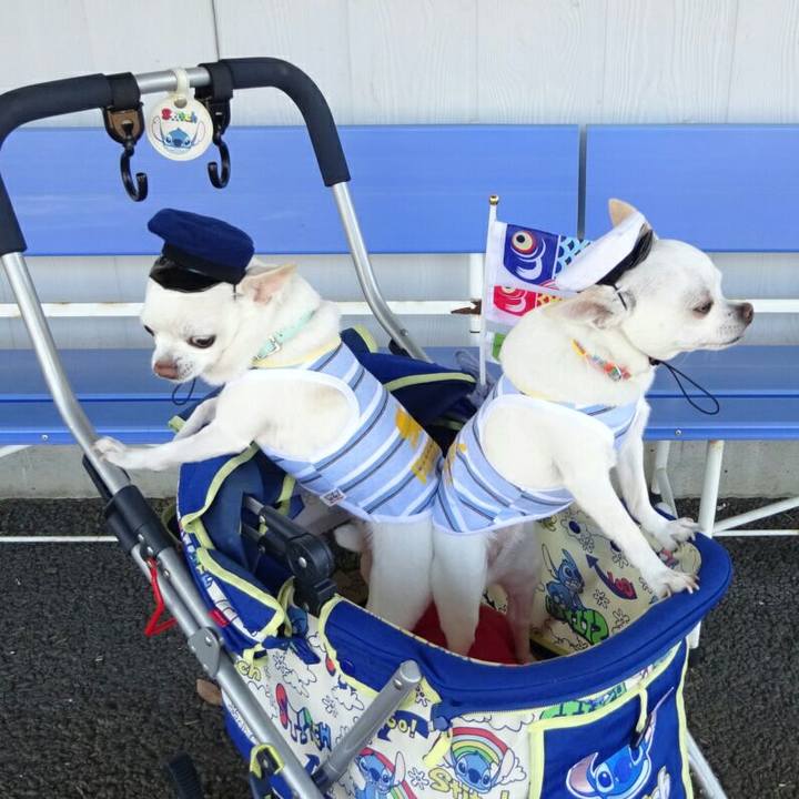 Cb26d9fc 72c1 4794 bf30 2dcb83e682b9