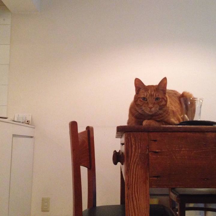 Cb27452a 1be4 4b5a be66 f46fc6bcf9b9