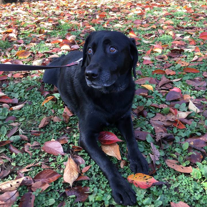 Cb277953 241e 46be a27a ceb7b8018fc8