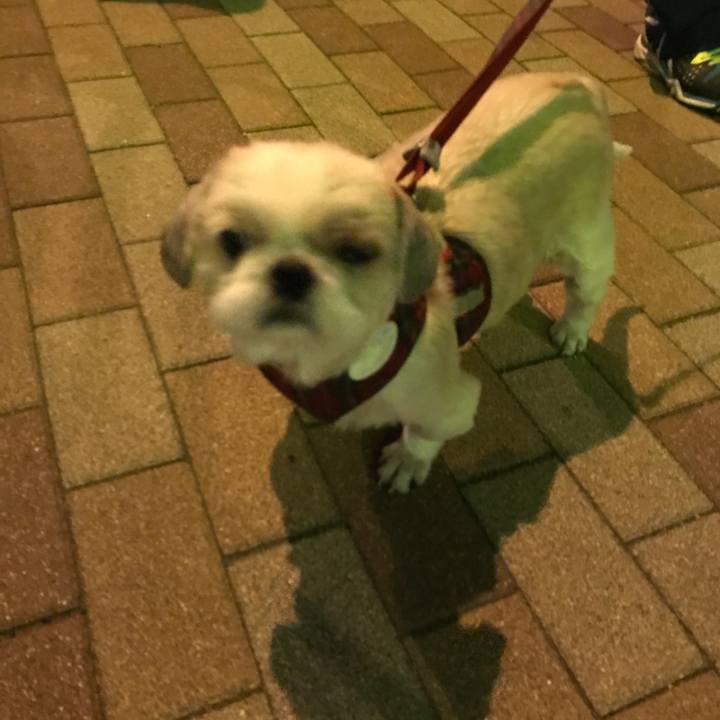 Cb27bda9 8087 4f7d acb7 a5de11460370