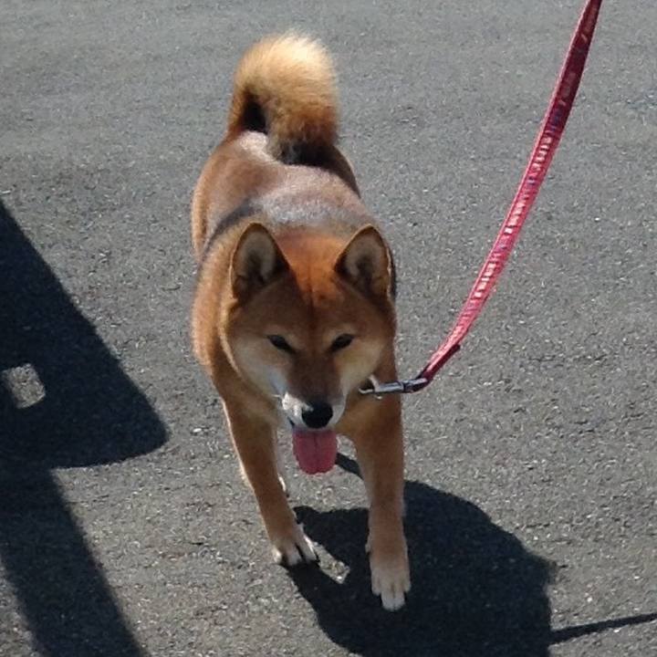 Cb27cc86 44f8 4fa4 a572 316136033089