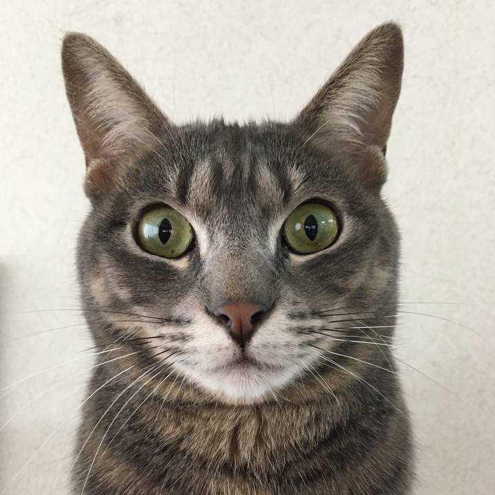 Cb27e8b6 0897 47ff bab5 e293650ce65b