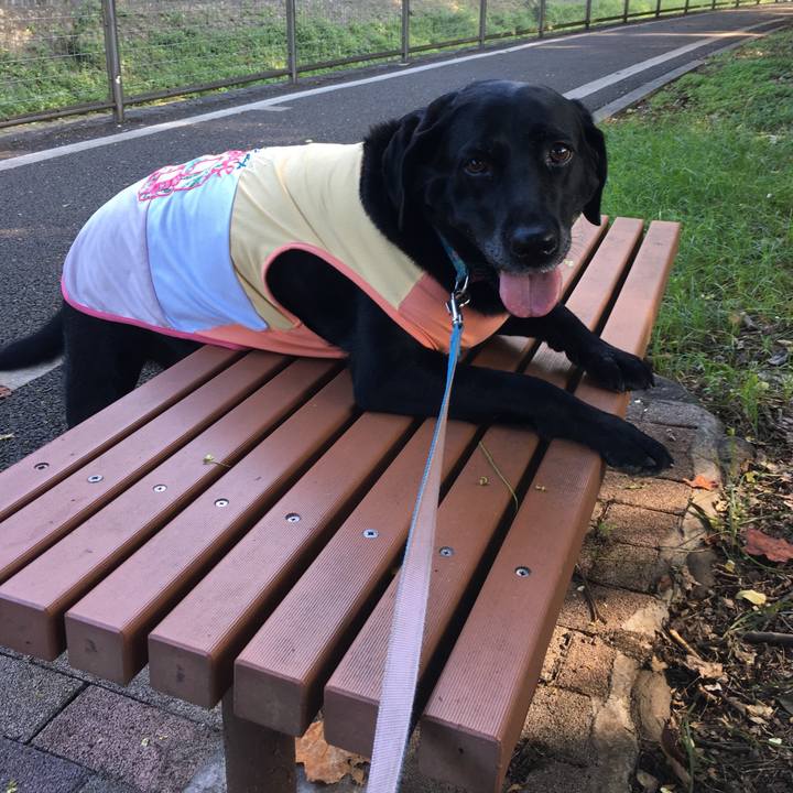 Cb27fee4 66bf 452b be3e 4f84a056e43e