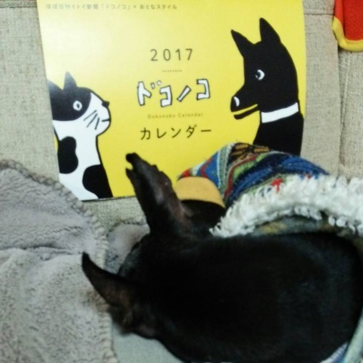 Cb2821da 72f8 4fd9 bc17 98ea273ef92a